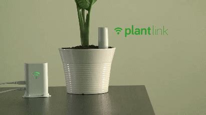 best smart plant sensor|wireless moisture sensor for plants.